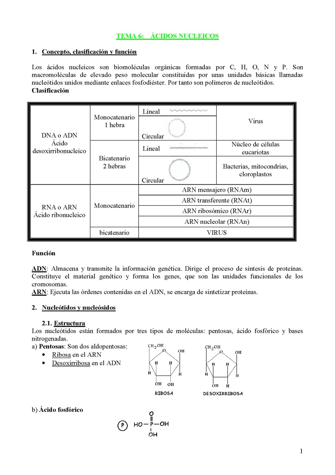 ácidos nucleicos