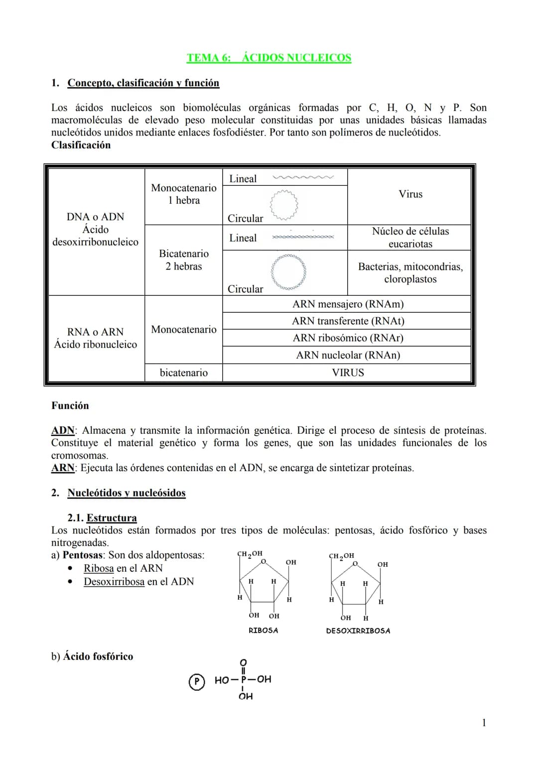 TEMA 6: ÁCIDOS NUCLEICOS
1. Concepto, clasificación y función
Los ácidos nucleicos son biomoléculas orgánicas formadas por C, H, O, N y P. S