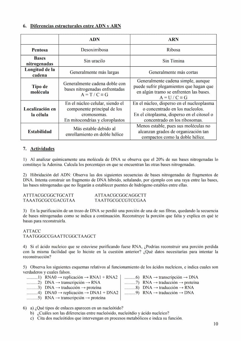 TEMA 6: ÁCIDOS NUCLEICOS
1. Concepto, clasificación y función
Los ácidos nucleicos son biomoléculas orgánicas formadas por C, H, O, N y P. S