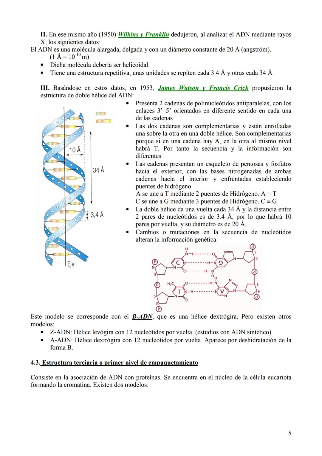 TEMA 6: ÁCIDOS NUCLEICOS
1. Concepto, clasificación y función
Los ácidos nucleicos son biomoléculas orgánicas formadas por C, H, O, N y P. S