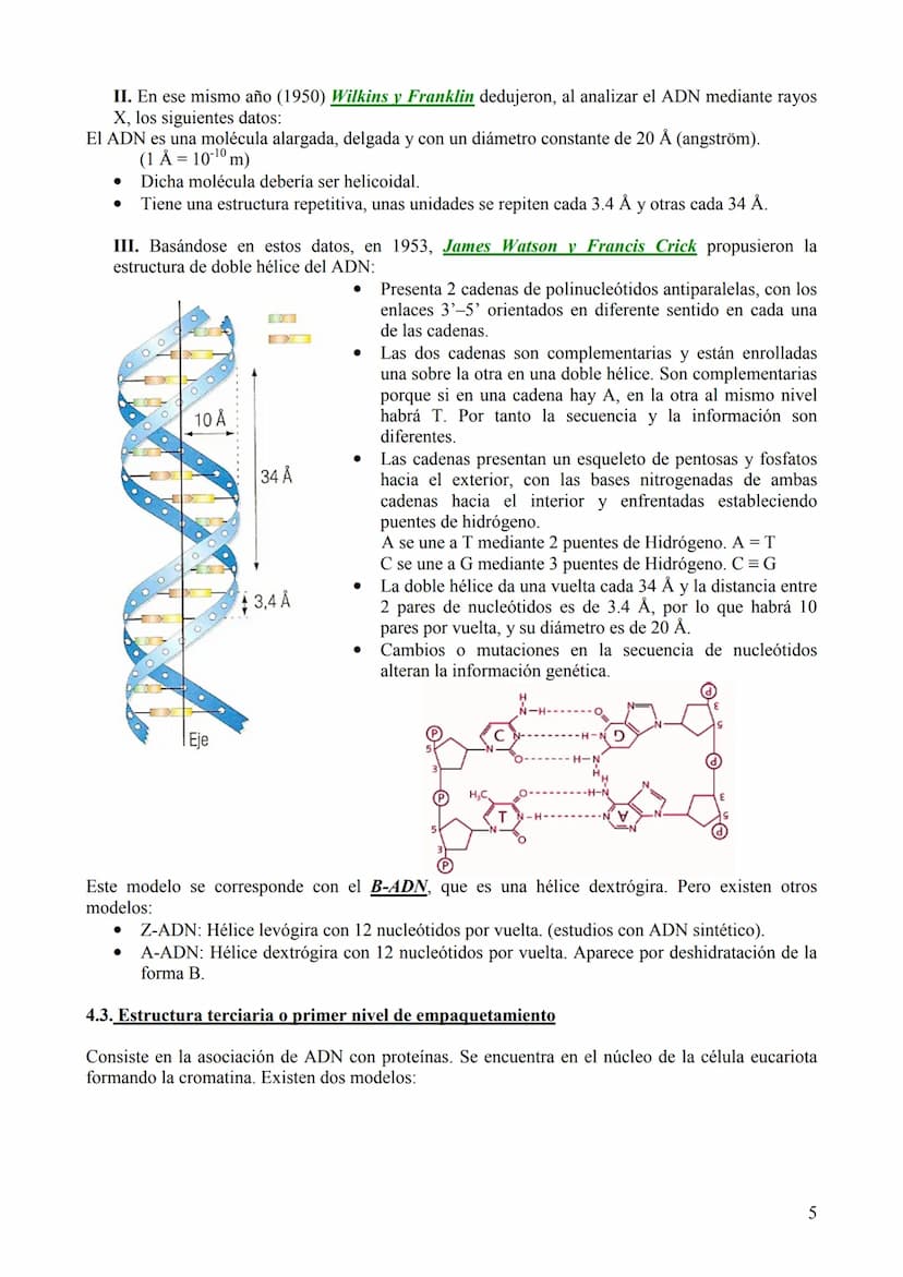 TEMA 6: ÁCIDOS NUCLEICOS
1. Concepto, clasificación y función
Los ácidos nucleicos son biomoléculas orgánicas formadas por C, H, O, N y P. S