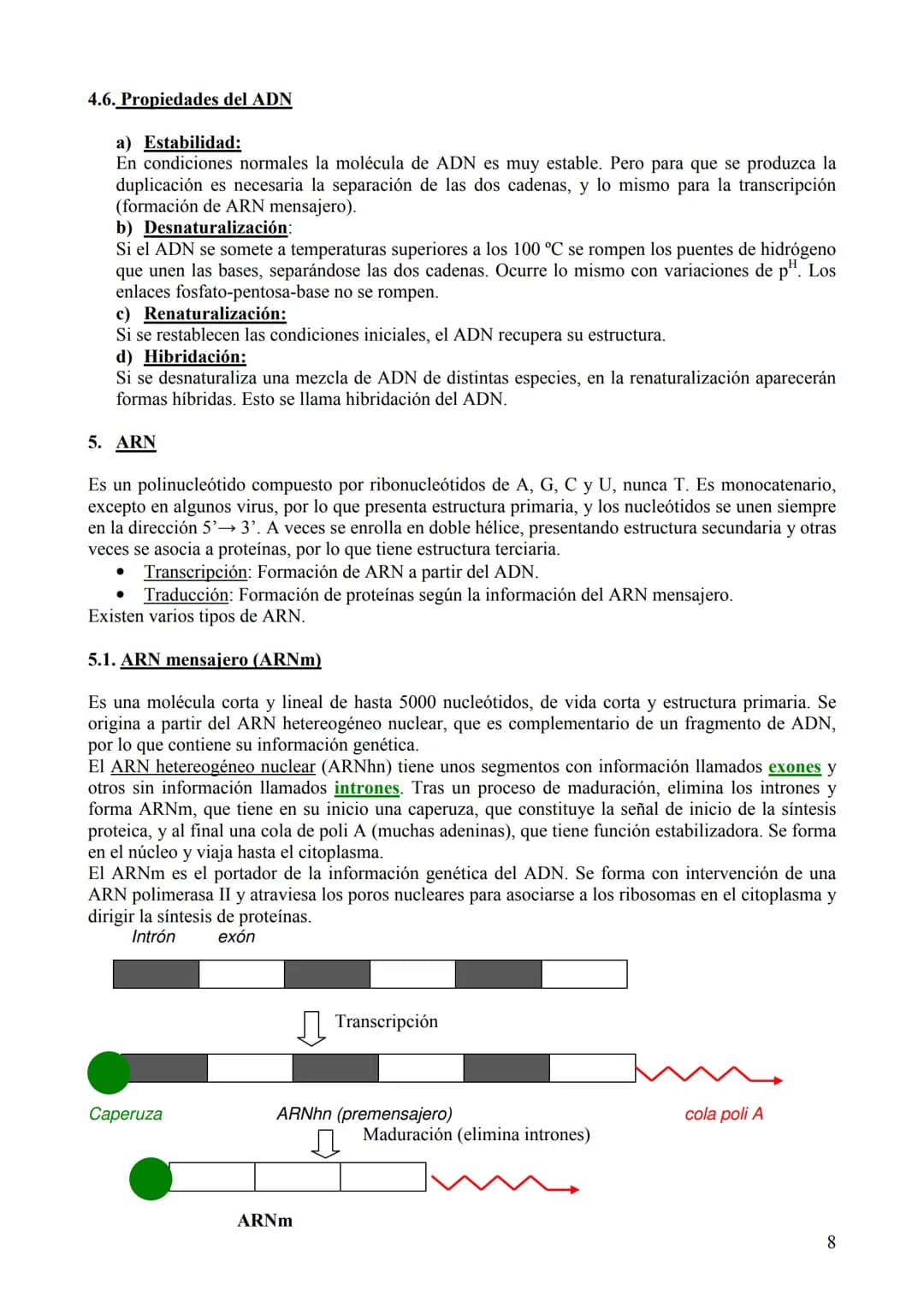 TEMA 6: ÁCIDOS NUCLEICOS
1. Concepto, clasificación y función
Los ácidos nucleicos son biomoléculas orgánicas formadas por C, H, O, N y P. S