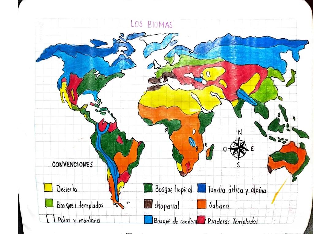 Exploración de los Biomas del Mundo