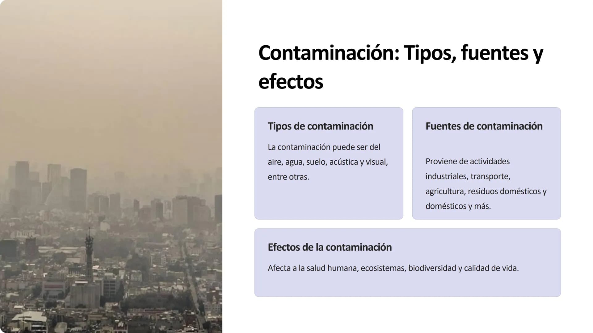 amstime.com
drec
dreamst
Save
dream
our
Earth
Impacto ambiental:
Contaminación, deforestación,
pérdida de biodiversidad y cambio
climático
+