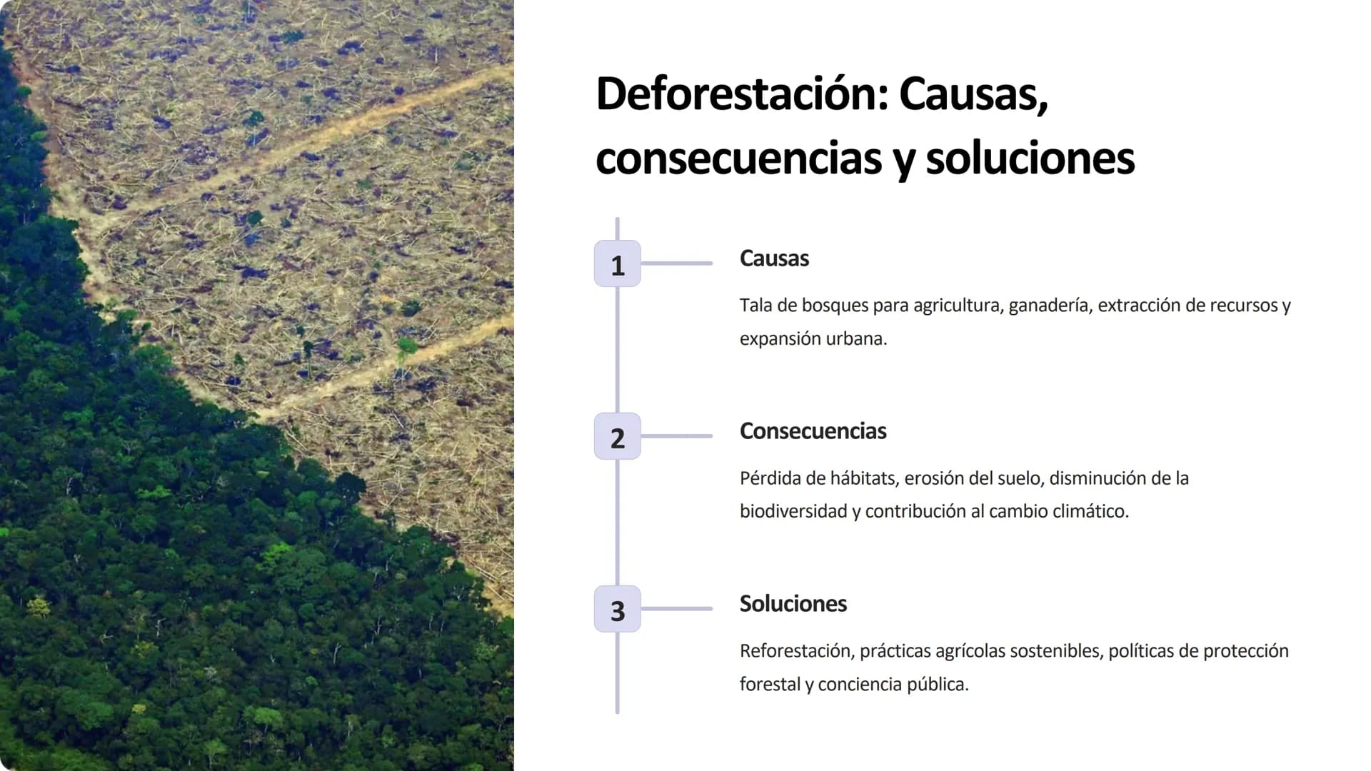 amstime.com
drec
dreamst
Save
dream
our
Earth
Impacto ambiental:
Contaminación, deforestación,
pérdida de biodiversidad y cambio
climático
+