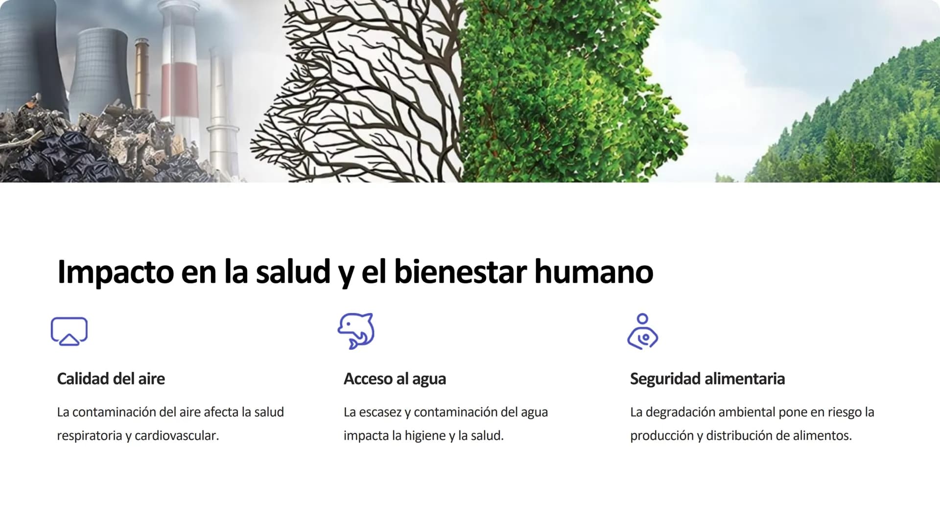amstime.com
drec
dreamst
Save
dream
our
Earth
Impacto ambiental:
Contaminación, deforestación,
pérdida de biodiversidad y cambio
climático
+