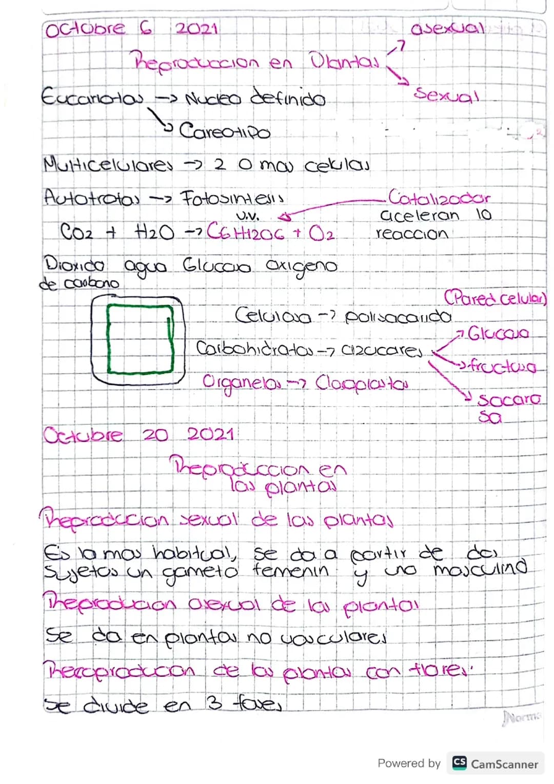REPRODUCCION EN PLANTAS