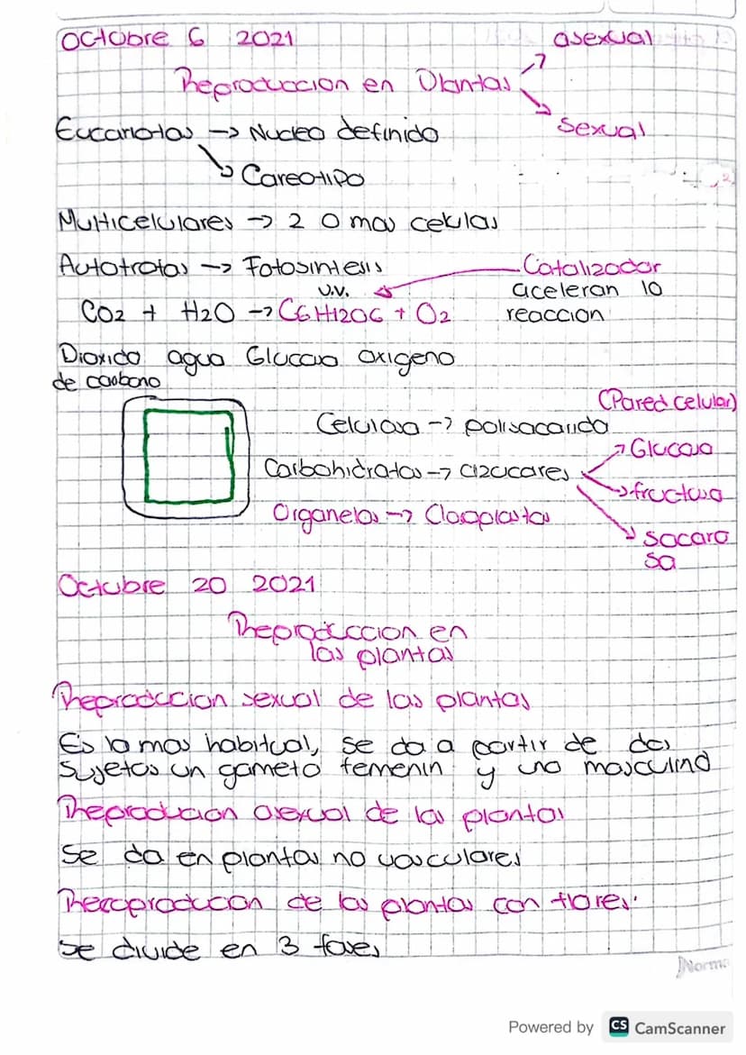 Octobre 6 2021
Reproduccion en Olantas.
Eucariotas -> Nucleo definido
Careotipo
Multicelulares -> 20 mau celulas
Autotrofa
Fotosintesis.
U.V