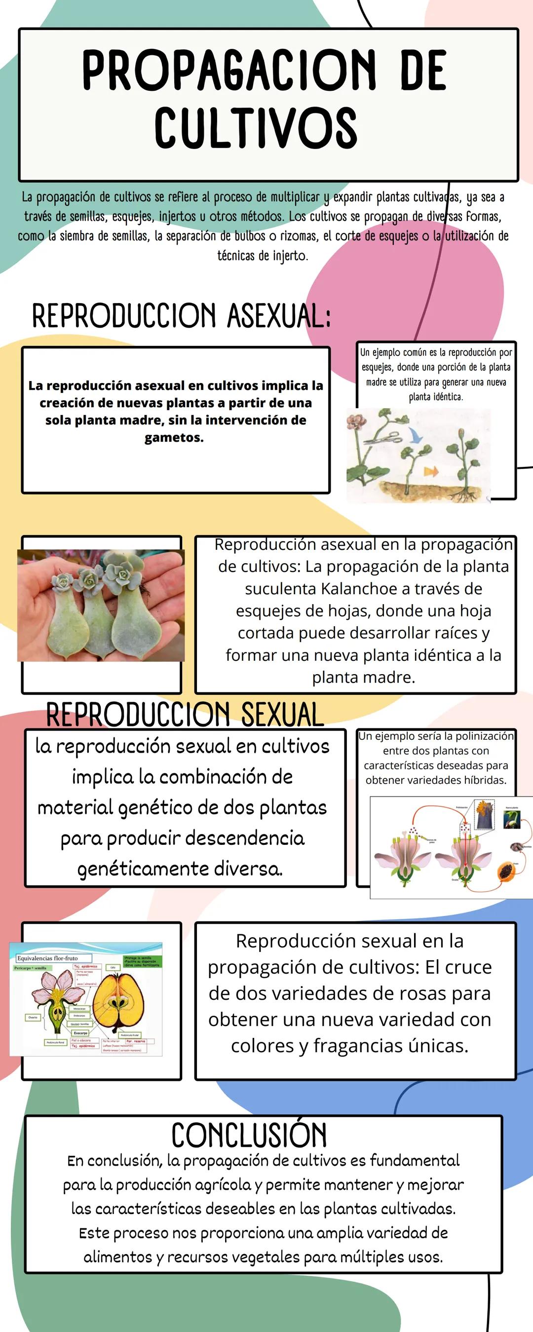 # PROPAGACION DE
# CULTIVOS

La propagación de cultivos se refiere al proceso de multiplicar y expandir plantas cultivadas, ya sea a
través 