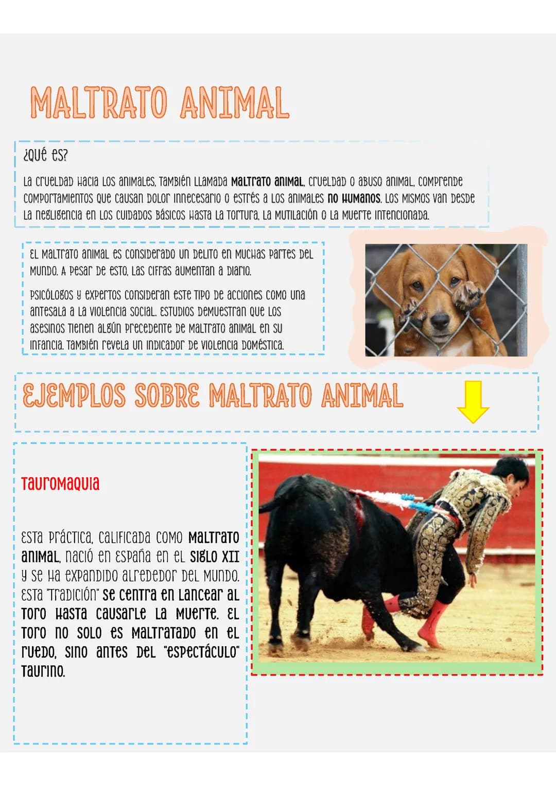 Maltrato animal.