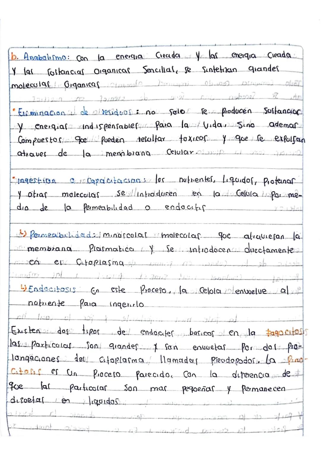 la Nutricion
Poway Ob obostr
¿Que es?
apometre
apaist
Es un proceso forstel
Coalmopen? Cuerpo Procesa la Comida inge
rida
y absorbe
105 notm