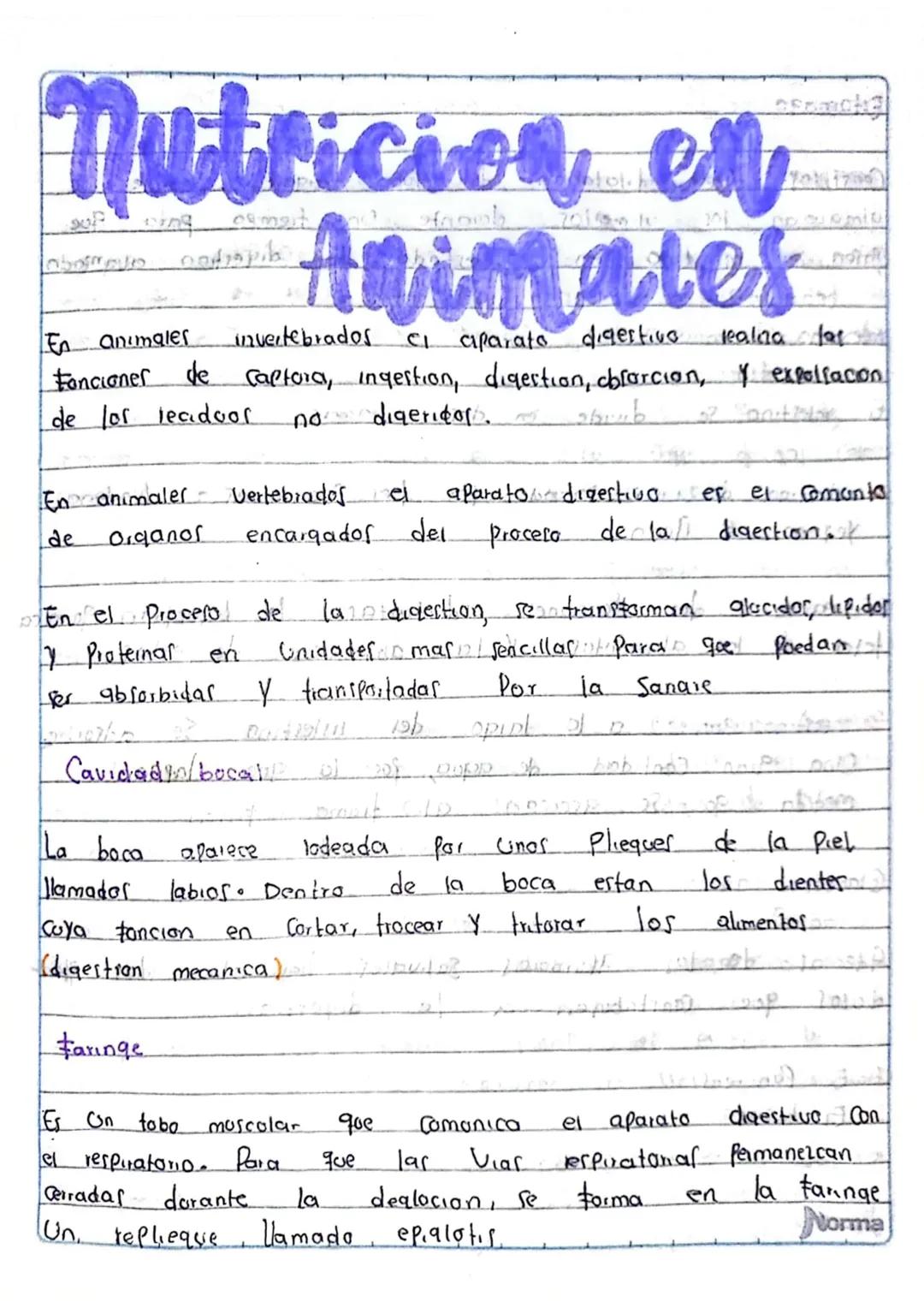 la Nutricion
Poway Ob obostr
¿Que es?
apometre
apaist
Es un proceso forstel
Coalmopen? Cuerpo Procesa la Comida inge
rida
y absorbe
105 notm
