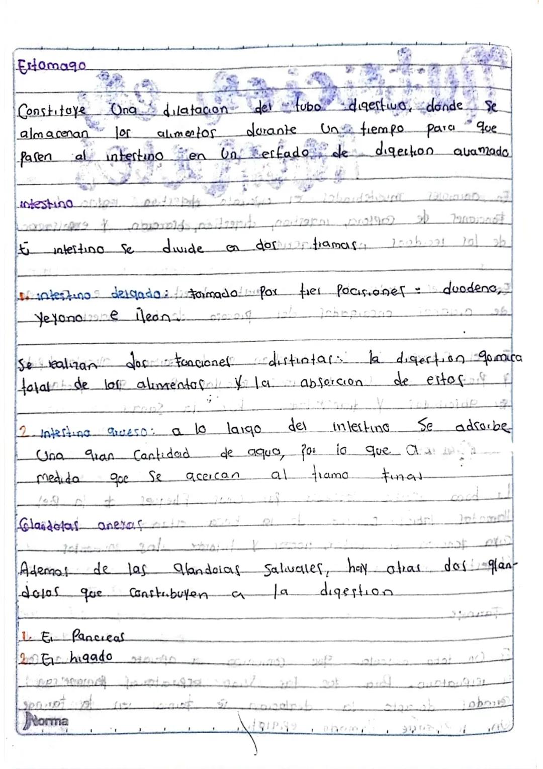 la Nutricion
Poway Ob obostr
¿Que es?
apometre
apaist
Es un proceso forstel
Coalmopen? Cuerpo Procesa la Comida inge
rida
y absorbe
105 notm