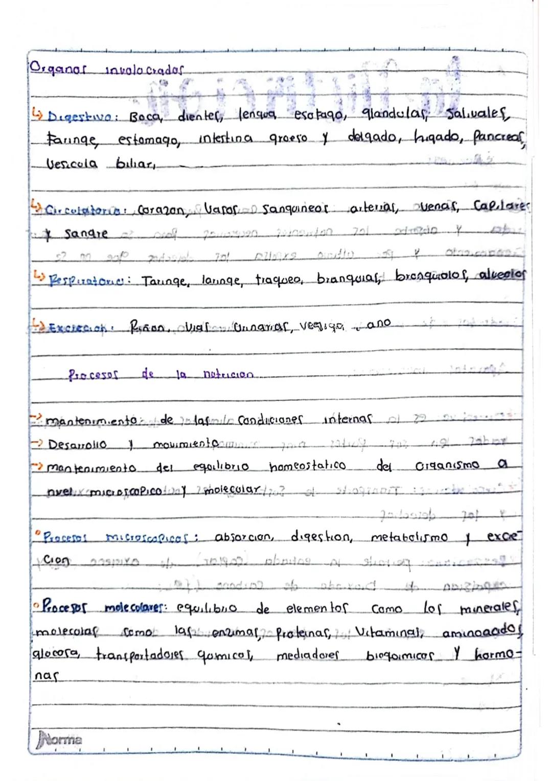 la Nutricion
Poway Ob obostr
¿Que es?
apometre
apaist
Es un proceso forstel
Coalmopen? Cuerpo Procesa la Comida inge
rida
y absorbe
105 notm