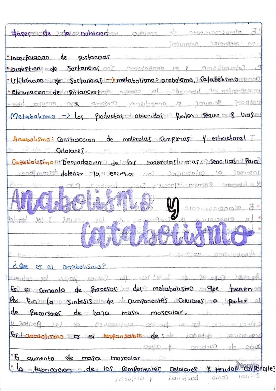 la Nutricion
Poway Ob obostr
¿Que es?
apometre
apaist
Es un proceso forstel
Coalmopen? Cuerpo Procesa la Comida inge
rida
y absorbe
105 notm
