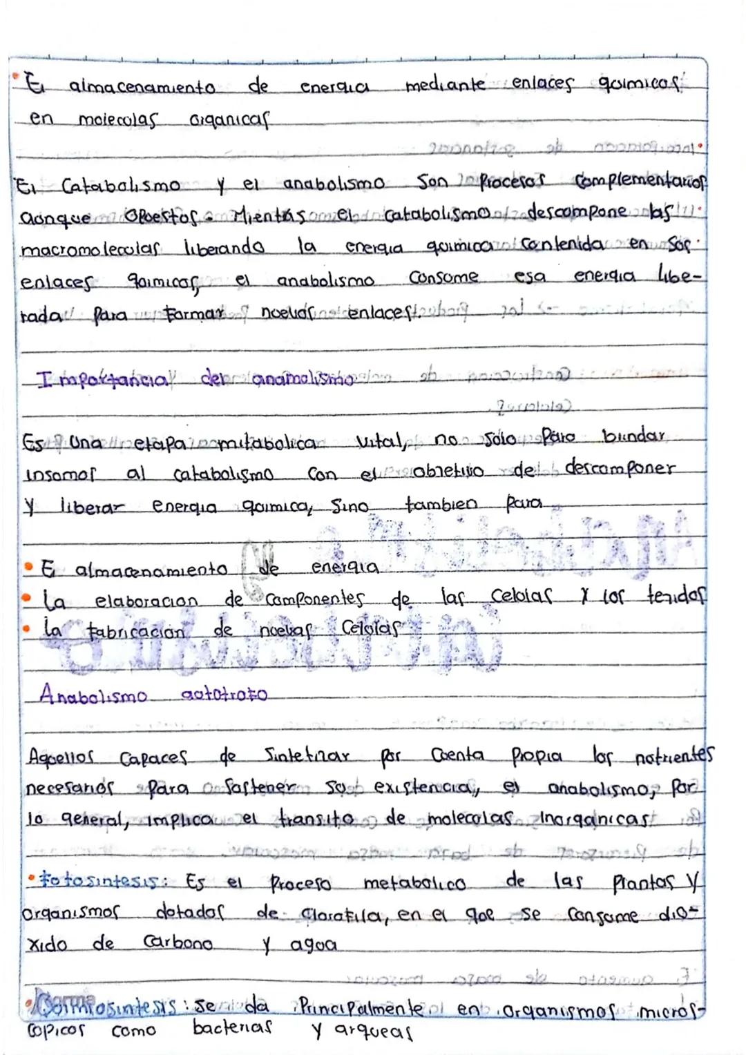 la Nutricion
Poway Ob obostr
¿Que es?
apometre
apaist
Es un proceso forstel
Coalmopen? Cuerpo Procesa la Comida inge
rida
y absorbe
105 notm