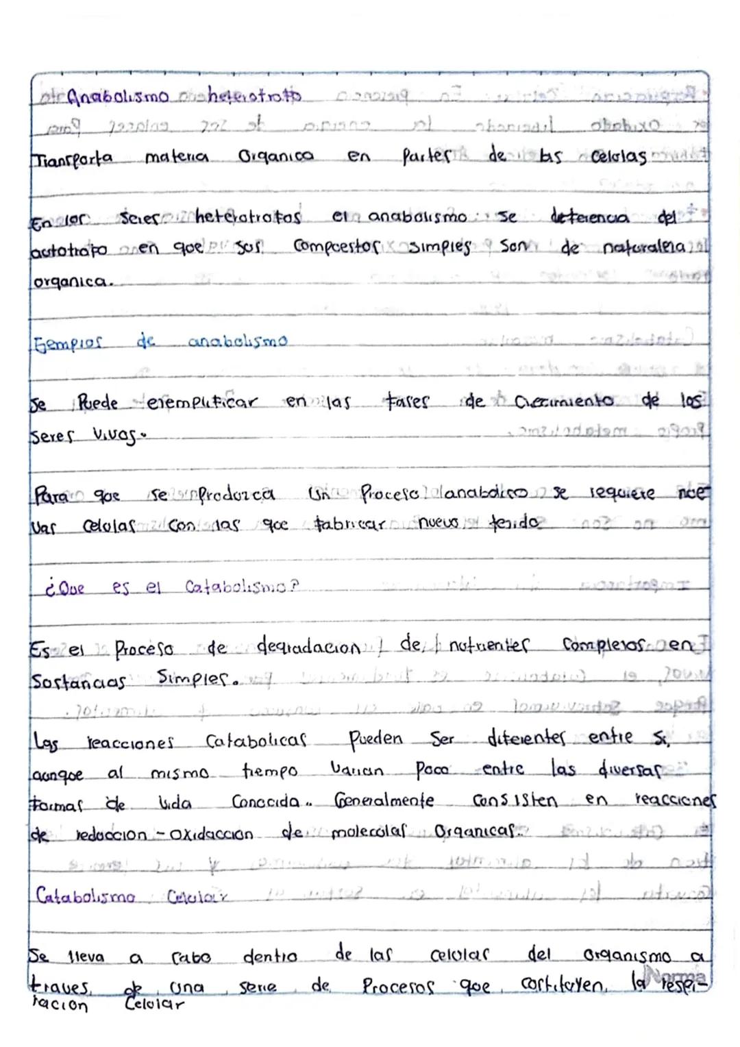 la Nutricion
Poway Ob obostr
¿Que es?
apometre
apaist
Es un proceso forstel
Coalmopen? Cuerpo Procesa la Comida inge
rida
y absorbe
105 notm