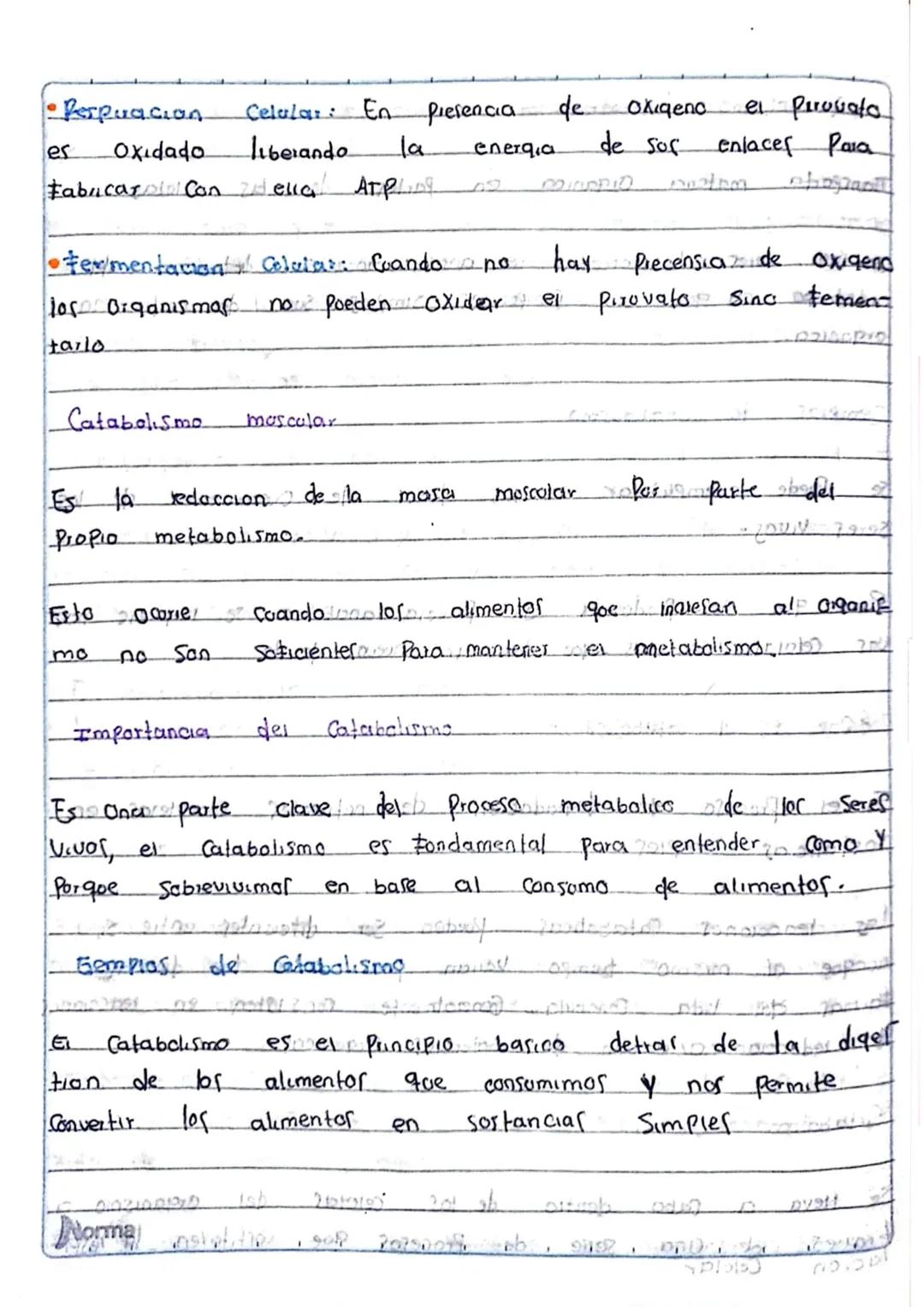 la Nutricion
Poway Ob obostr
¿Que es?
apometre
apaist
Es un proceso forstel
Coalmopen? Cuerpo Procesa la Comida inge
rida
y absorbe
105 notm