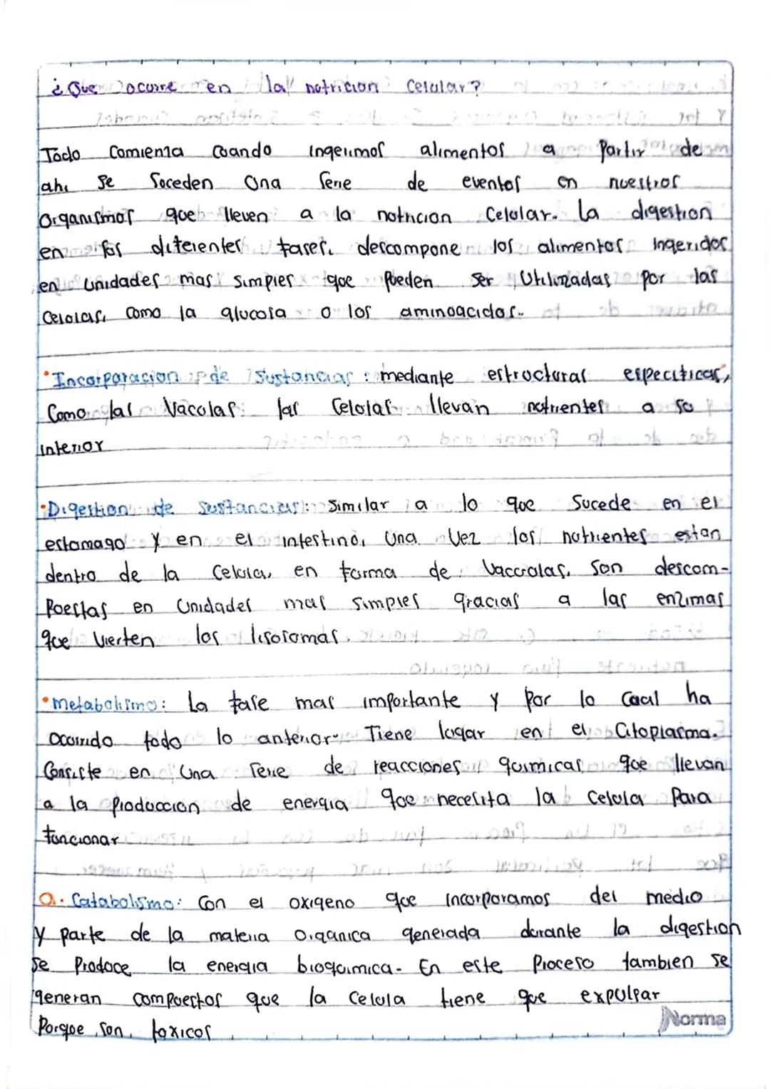 la Nutricion
Poway Ob obostr
¿Que es?
apometre
apaist
Es un proceso forstel
Coalmopen? Cuerpo Procesa la Comida inge
rida
y absorbe
105 notm