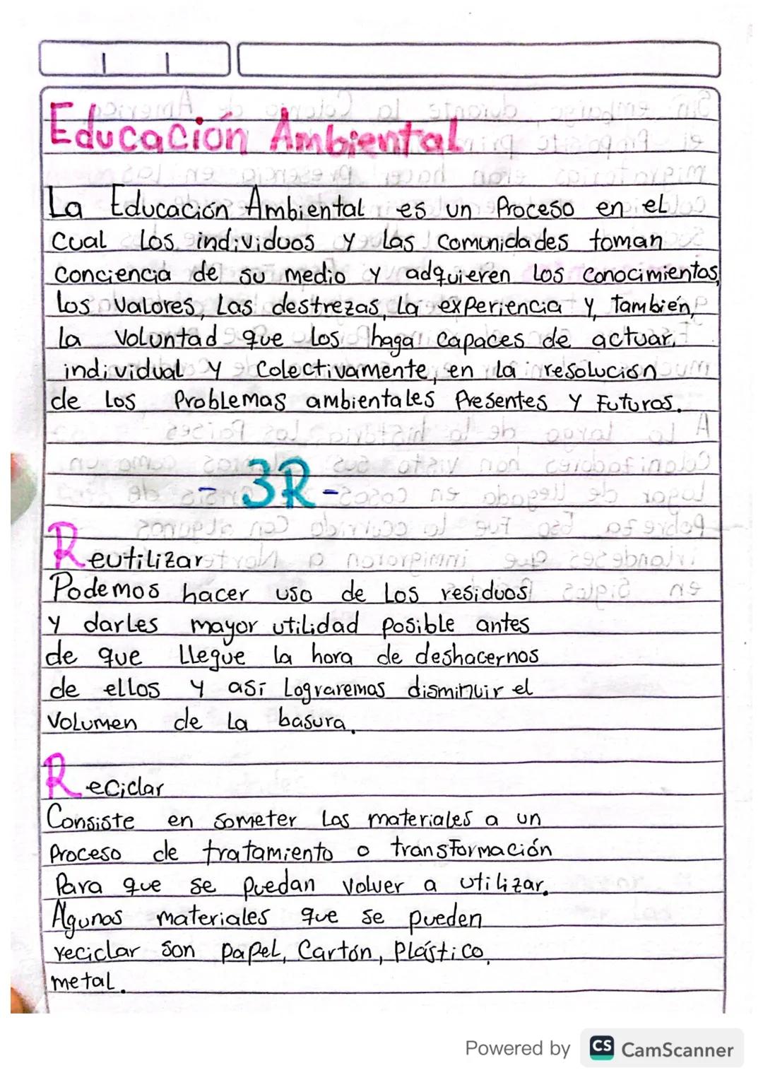 # Educación Ambientali

La Educación Ambiental es un Proceso en el
Cual Los individuos y las comunidades toman
Conciencia de su medio y adqu