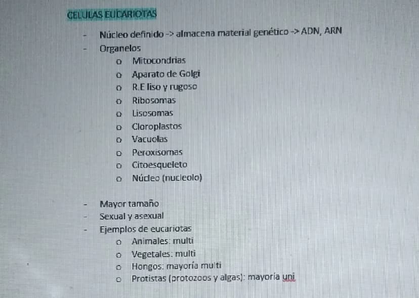 UNICELULARES
1. PROCARIOTAS (BACTERIAS)
2. HONGOS como levaduras pg la mayoría son multi
3. PROTISTAS
MULTICELULARES
1. PLANTAS
2. PROTISTAS