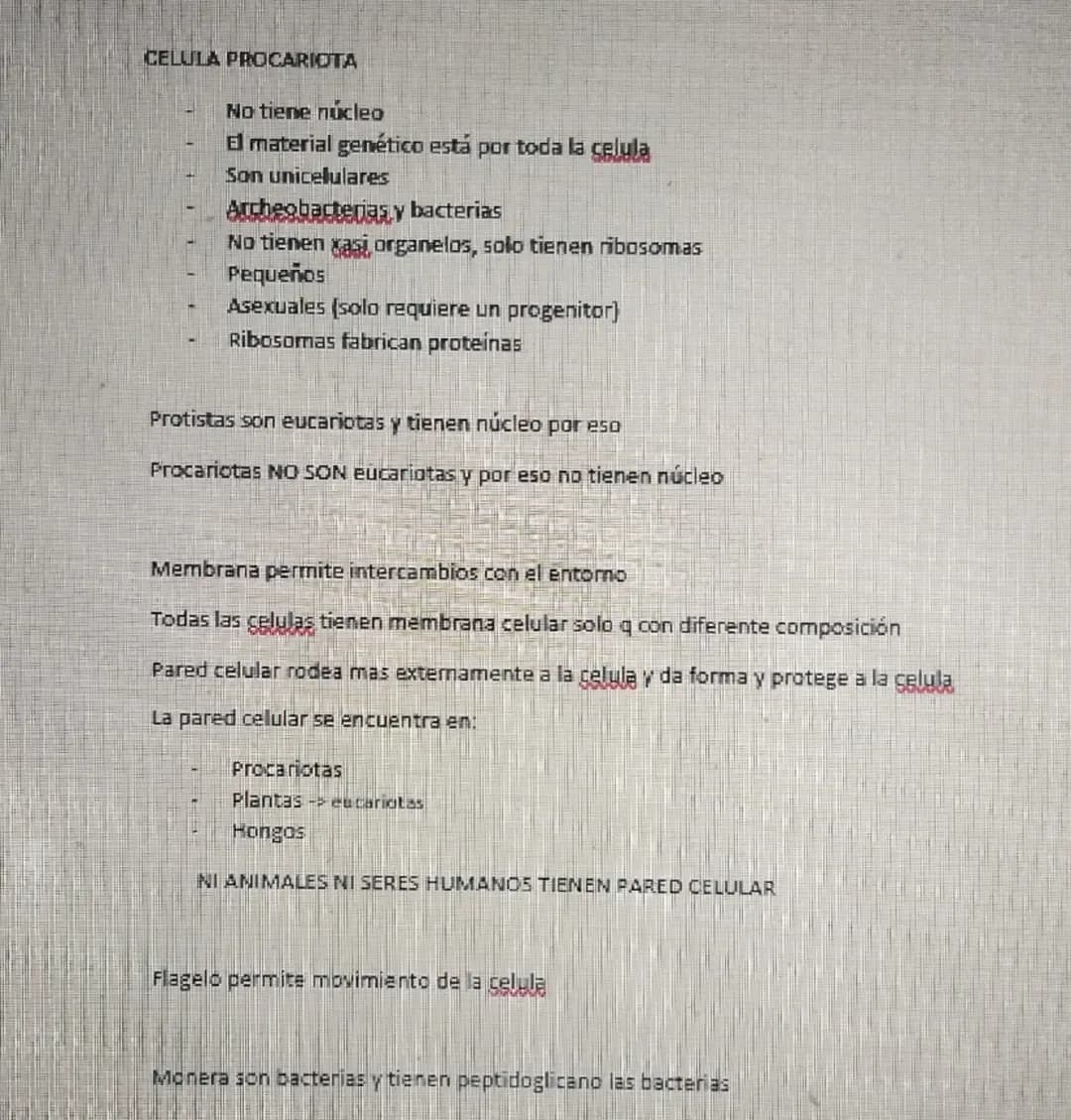 UNICELULARES
1. PROCARIOTAS (BACTERIAS)
2. HONGOS como levaduras pg la mayoría son multi
3. PROTISTAS
MULTICELULARES
1. PLANTAS
2. PROTISTAS