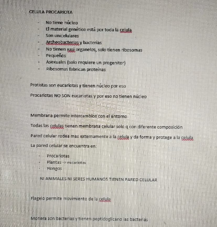 UNICELULARES
1. PROCARIOTAS (BACTERIAS)
2. HONGOS como levaduras pg la mayoría son multi
3. PROTISTAS
MULTICELULARES
1. PLANTAS
2. PROTISTAS
