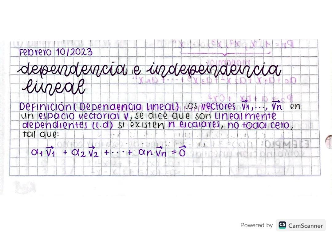 Matemáticas grado 11 - Dependencia e Independencia Lineal