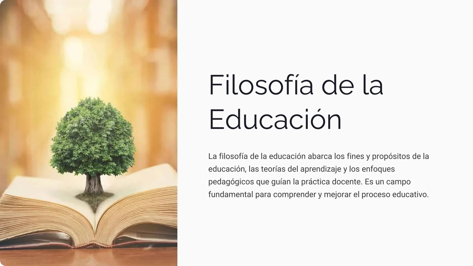 Filosofía de la
Educación
La filosofía de la educación abarca los fines y propósitos de la
educación, las teorías del aprendizaje y los enfo