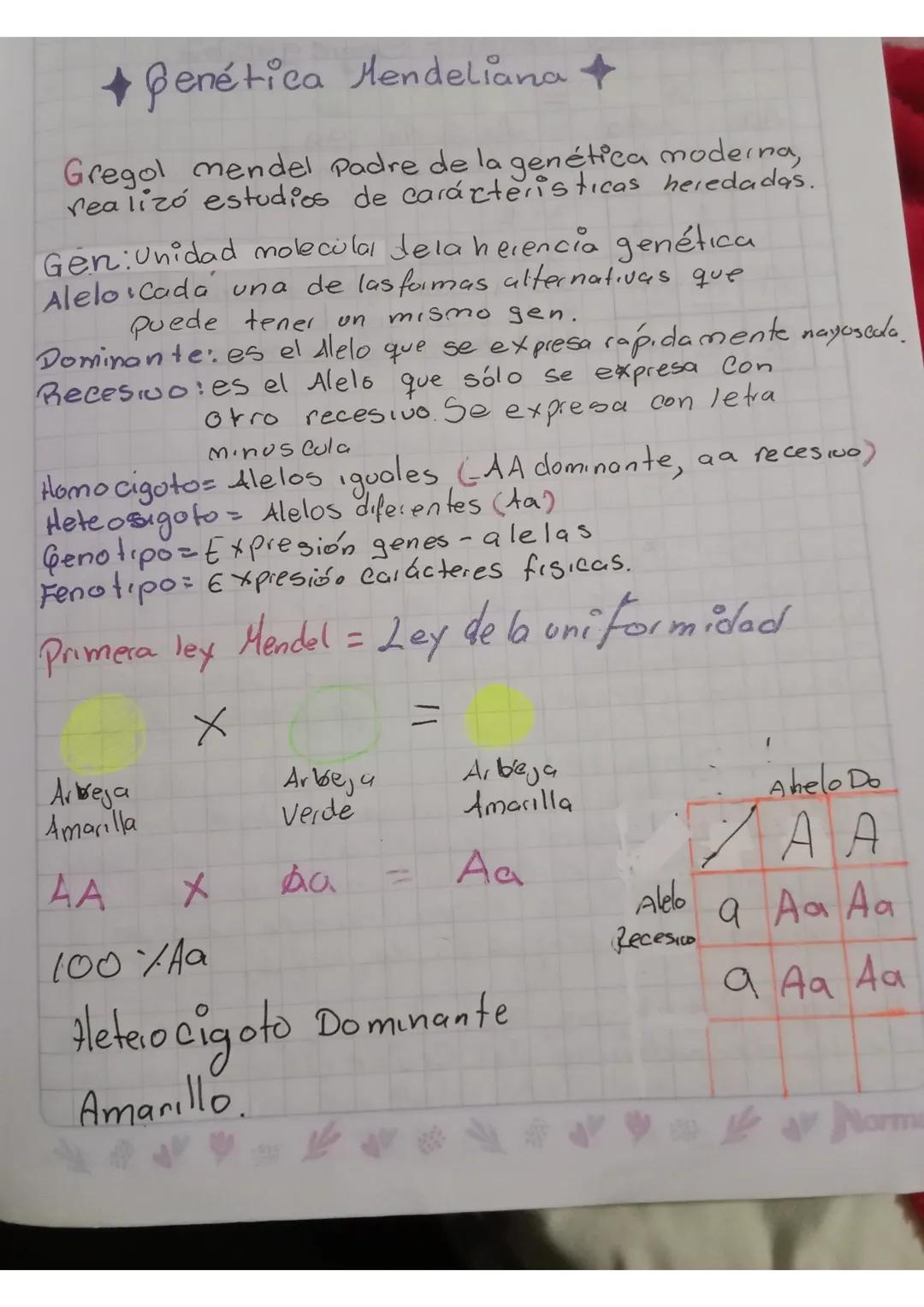 Segunda ley mendel = Segregación

Aa
Amarillo

X
Aa
Amarillo

=
Aa Aa Aa a۹۰
Amarillas verde


A
A
a

A
AA
Aa

a
Aa
aa

3:1
3 Amarillas: 1 v