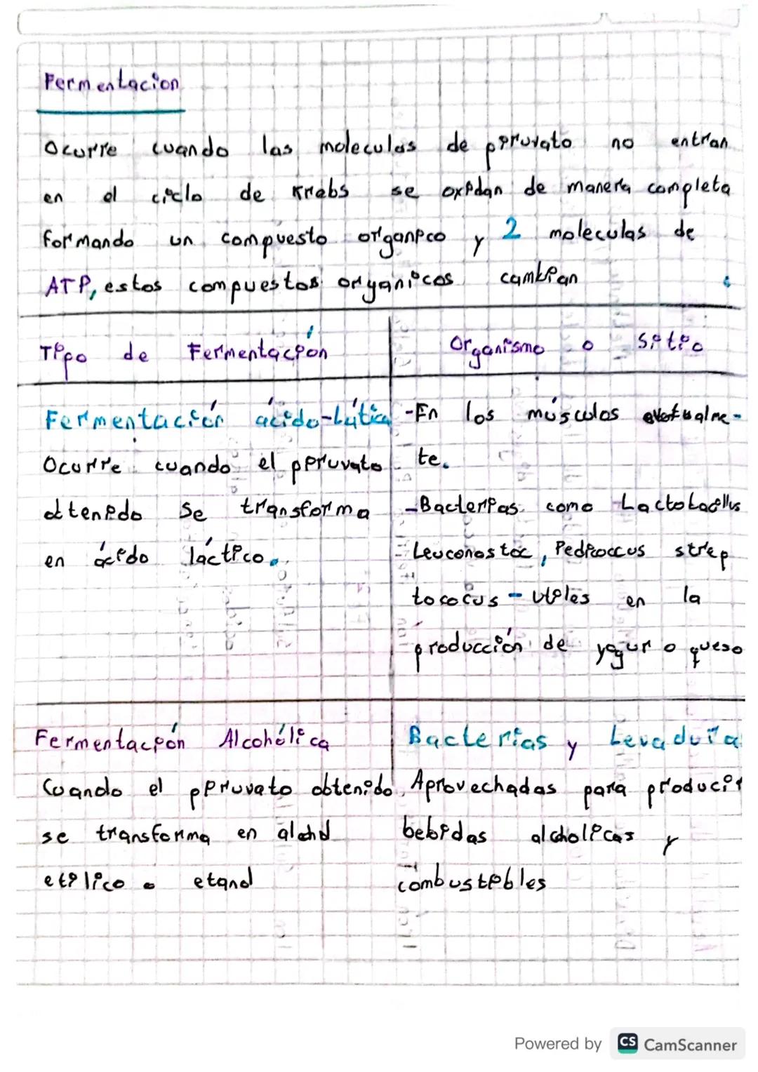 Fermentacion
Ocurre
cuando las moleculas de piruvato.
по
entran
se oxidan de manera completa.
en
el
ciclo
de Krabs
formando
LA
compuesto org