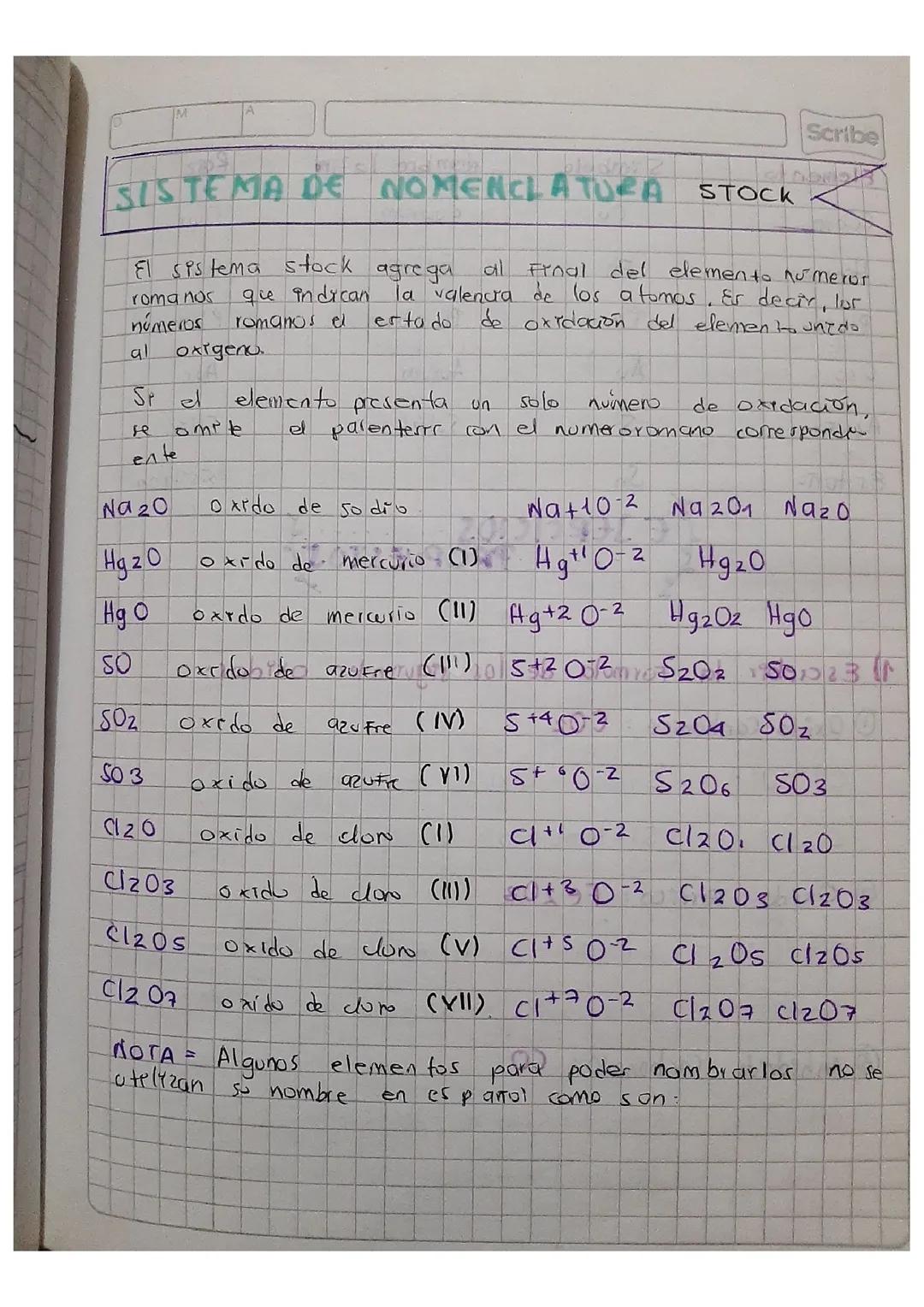 Guía del Sistema de Nomenclatura Stock