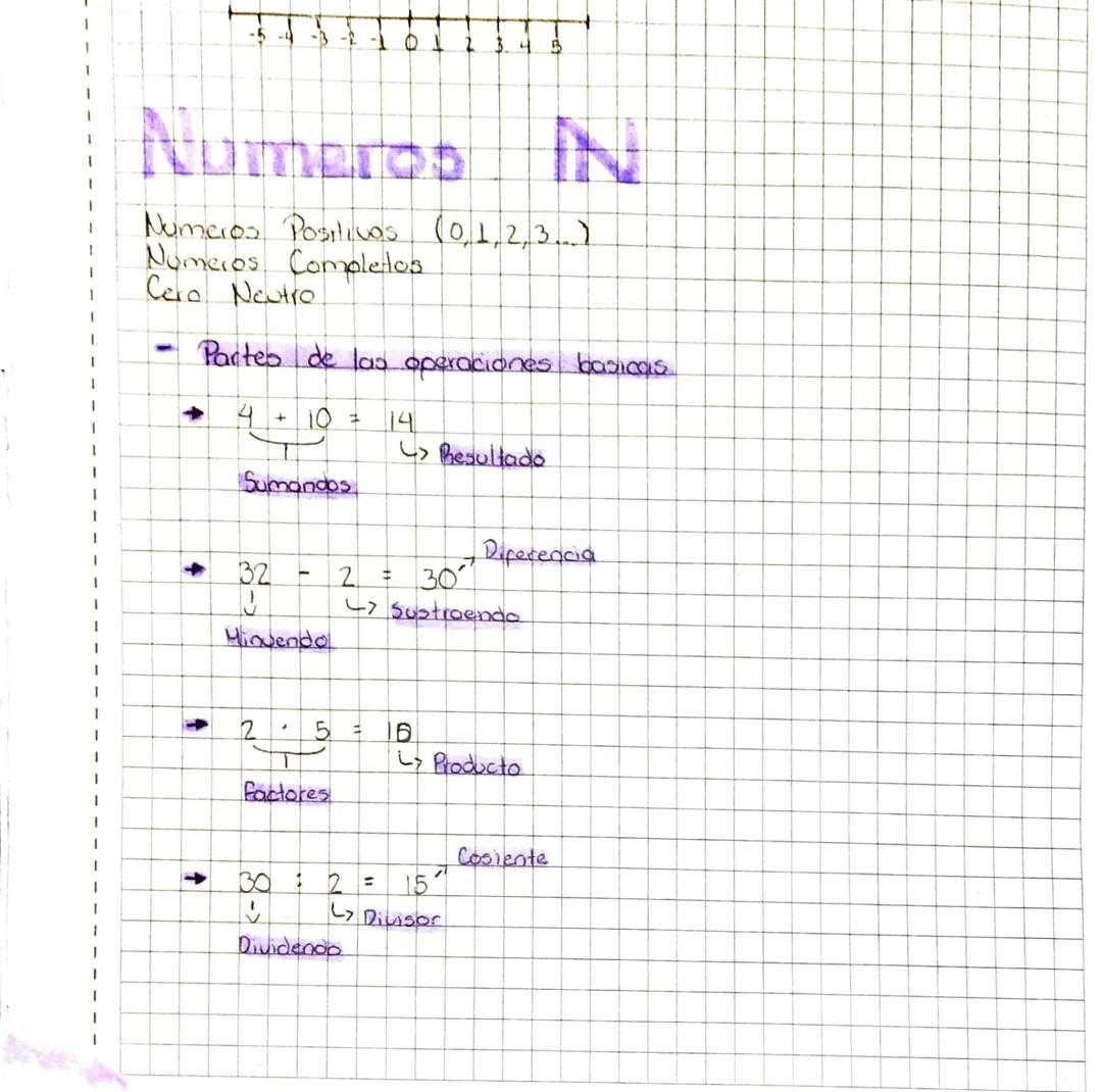 NUMEROS NATURALES