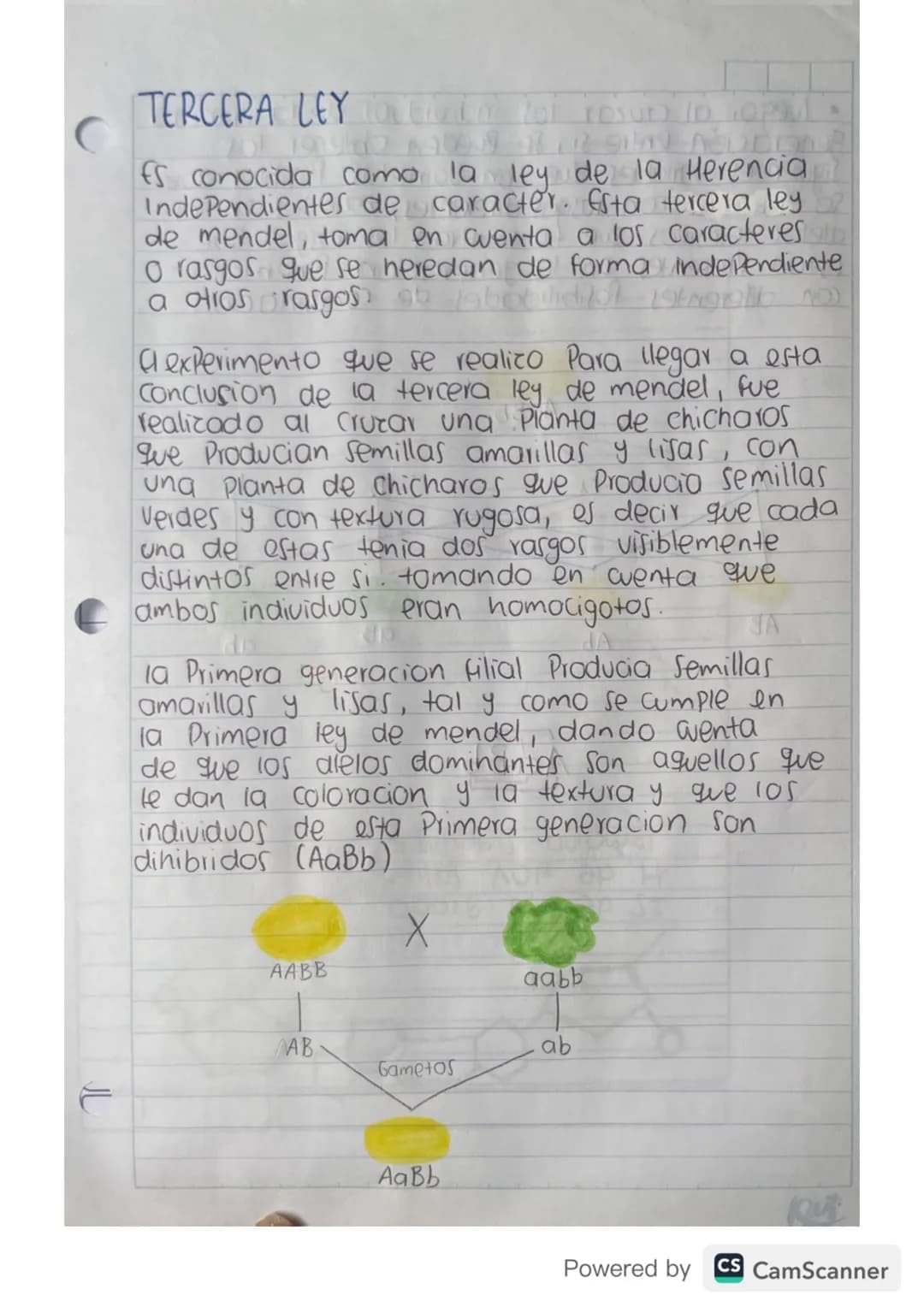 conceptos básicos
genetica
GENETICA Roma de la biologia que se encarga de
estudiar la herencia biologica de una generacion
a otra y todos lo