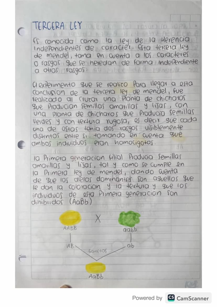 conceptos básicos
genetica
GENETICA Roma de la biologia que se encarga de
estudiar la herencia biologica de una generacion
a otra y todos lo