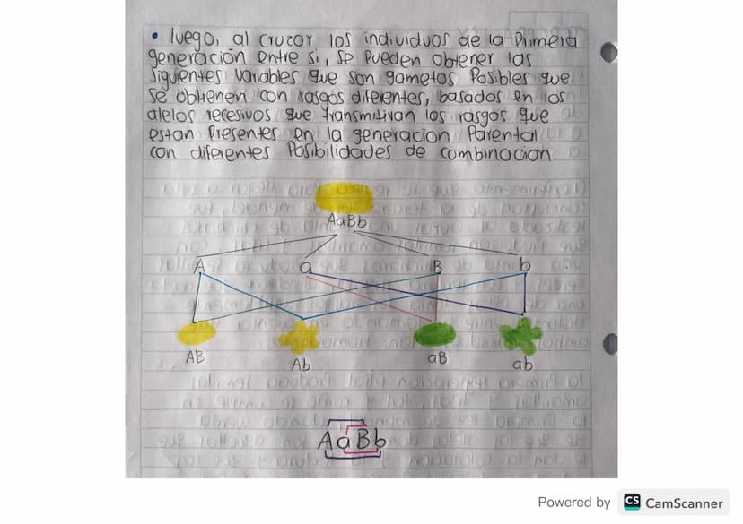 conceptos básicos
genetica
GENETICA Roma de la biologia que se encarga de
estudiar la herencia biologica de una generacion
a otra y todos lo