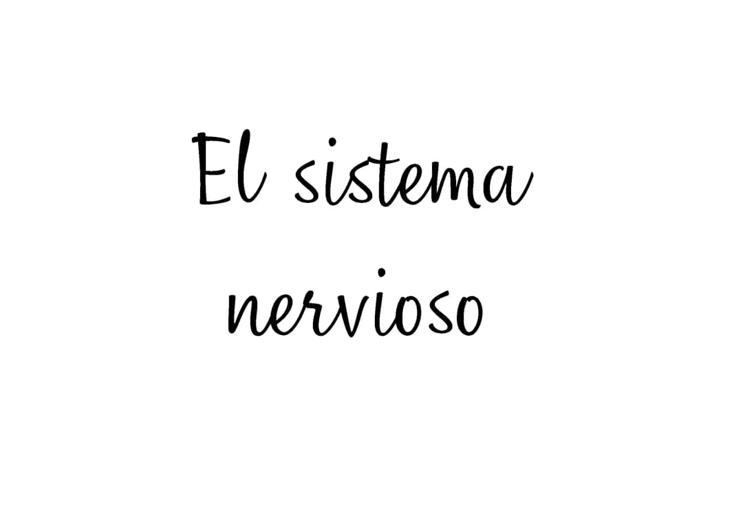 El sistema nervioso 