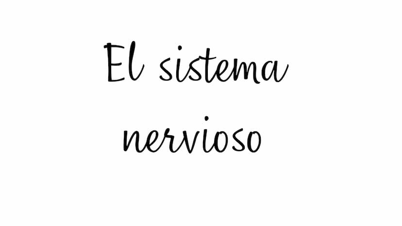 El sistema
nervioso Cerebro
Sistema nervioso
Tronco cerebral
Médula espinal
Nervios cervicales
Nervio radial
Nervio cubital-
Nervios torácic