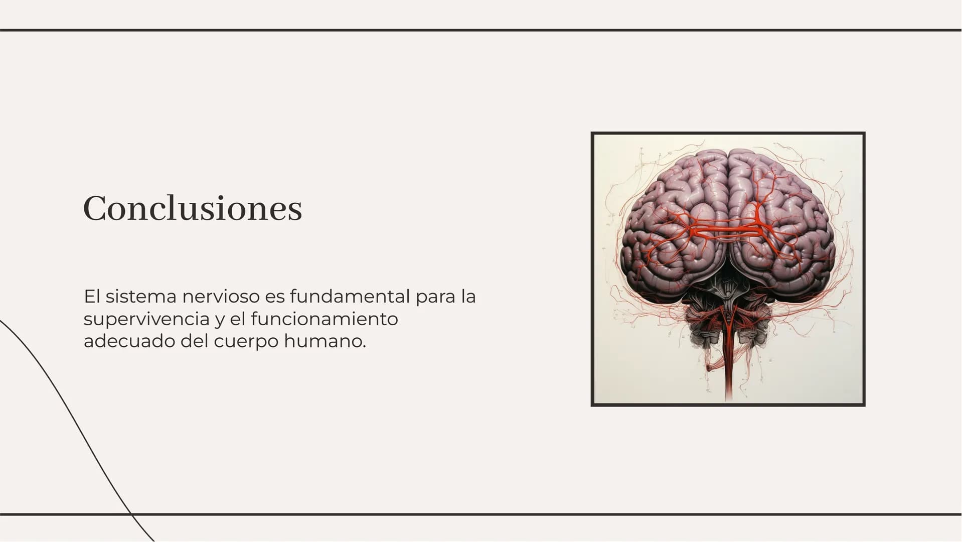 Introducción
El sistema nervioso es el encargado de
coordinar todas las funciones del cuerpo
humano. Está compuesto por el cerebro, la
médul