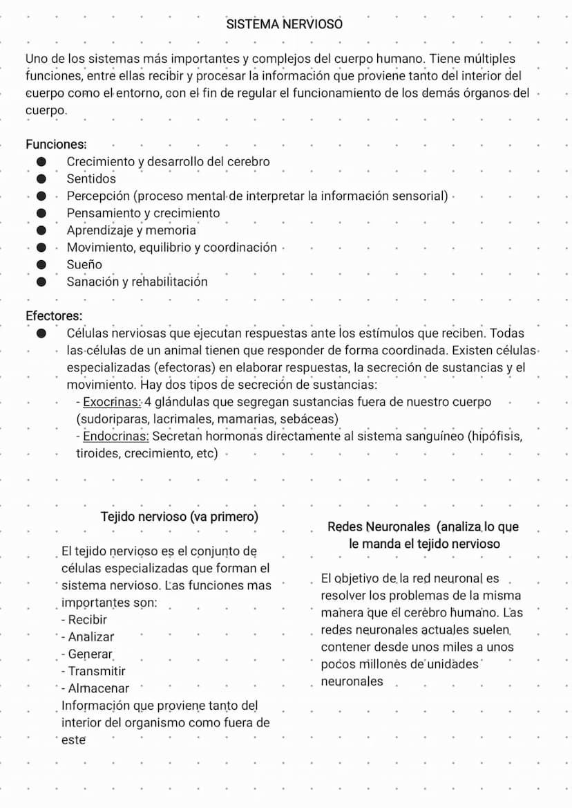 SISTEMA NERVIOSO
Uno de los sistemas más importantes y complejos del cuerpo humano. Tiene múltiples
funciones, entre ellas recibir y procesa