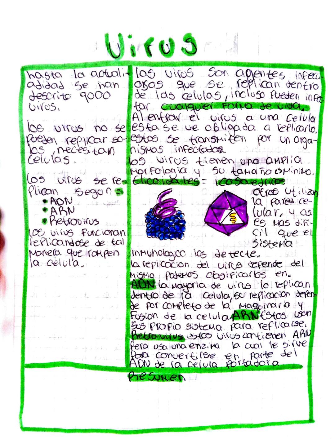 MA
Bacterias
•los arganismos las bacterias son organismos obicuos
obicuos son a-Son la mayoria de los celulas proca-
quellos que se riotas, 