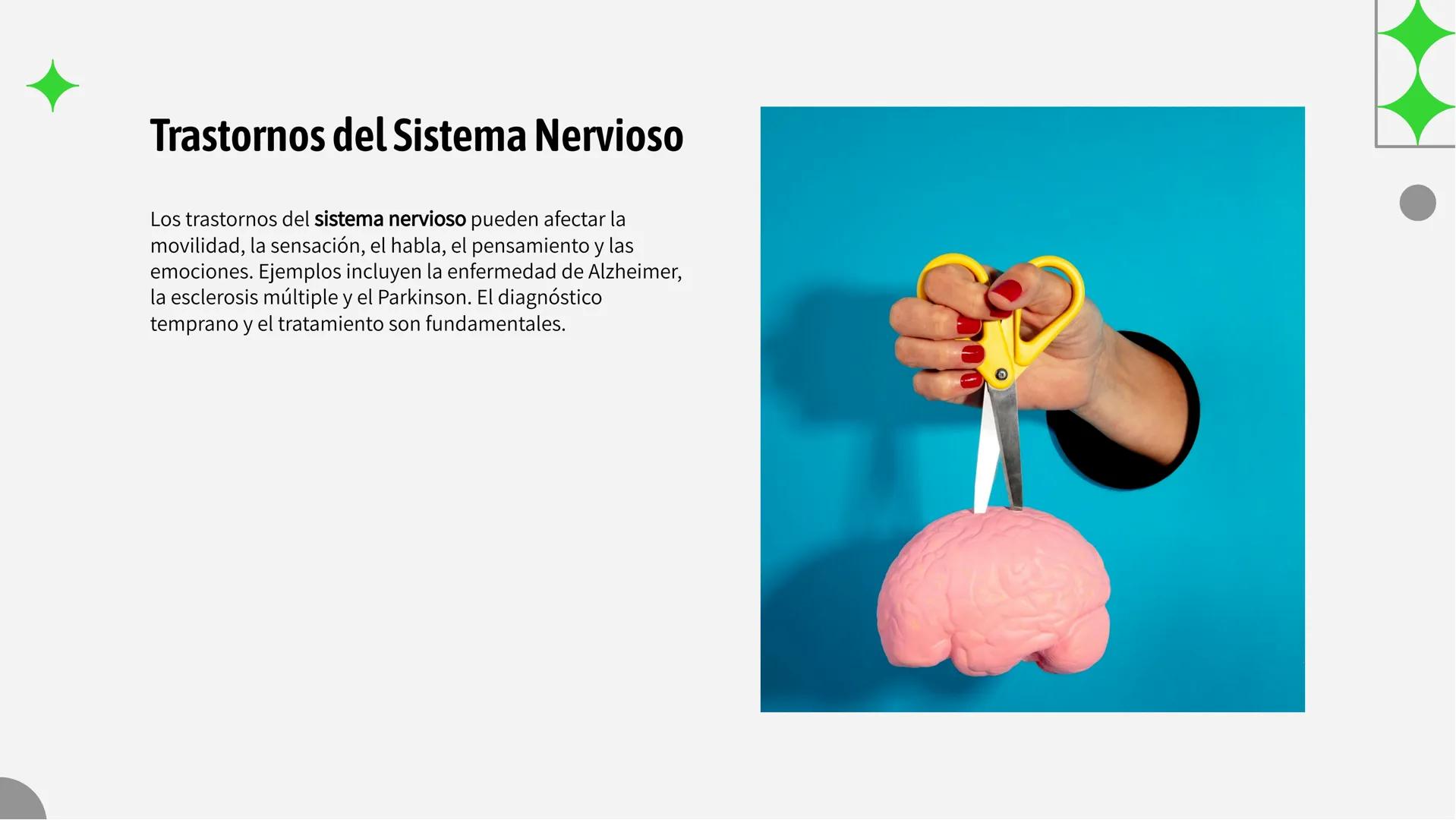 # Funcionamiento Integral del Sistema
## Nervioso: Una Perspectiva Profunda # Introducción

El sistema nervioso es fundamental para el funci