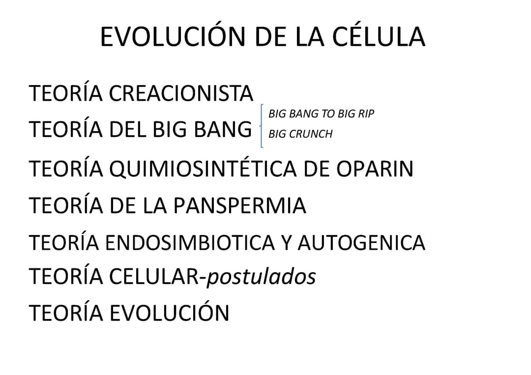 EVOLUCIÓN CELULAR 