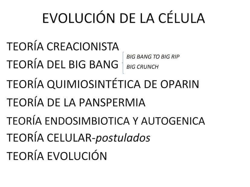 EVOLUCIÓN DE LA CÉLULA
TEORÍA CREACIONISTA
BIG BANG TO BIG RIP
TEORÍA DEL BIG BANG BIG CRUNCH
TEORÍA QUIMIOSINTÉTICA DE OPARIN
TEORÍA DE LA 