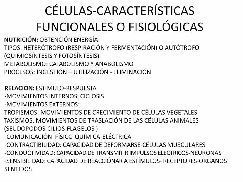 EVOLUCIÓN DE LA CÉLULA
TEORÍA CREACIONISTA
BIG BANG TO BIG RIP
TEORÍA DEL BIG BANG BIG CRUNCH
TEORÍA QUIMIOSINTÉTICA DE OPARIN
TEORÍA DE LA 