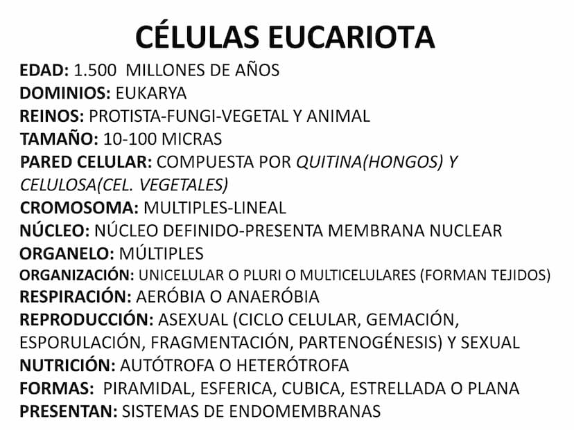 EVOLUCIÓN DE LA CÉLULA
TEORÍA CREACIONISTA
BIG BANG TO BIG RIP
TEORÍA DEL BIG BANG BIG CRUNCH
TEORÍA QUIMIOSINTÉTICA DE OPARIN
TEORÍA DE LA 