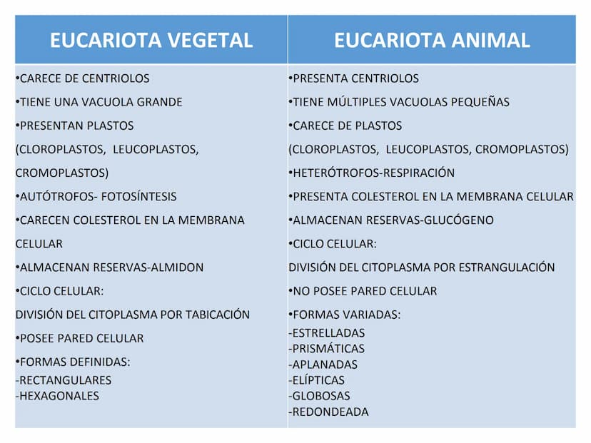 EVOLUCIÓN DE LA CÉLULA
TEORÍA CREACIONISTA
BIG BANG TO BIG RIP
TEORÍA DEL BIG BANG BIG CRUNCH
TEORÍA QUIMIOSINTÉTICA DE OPARIN
TEORÍA DE LA 