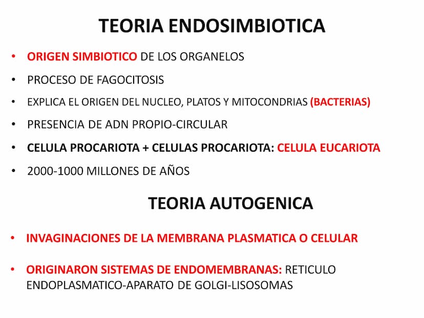 EVOLUCIÓN DE LA CÉLULA
TEORÍA CREACIONISTA
BIG BANG TO BIG RIP
TEORÍA DEL BIG BANG BIG CRUNCH
TEORÍA QUIMIOSINTÉTICA DE OPARIN
TEORÍA DE LA 