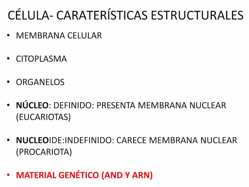 EVOLUCIÓN DE LA CÉLULA
TEORÍA CREACIONISTA
BIG BANG TO BIG RIP
TEORÍA DEL BIG BANG BIG CRUNCH
TEORÍA QUIMIOSINTÉTICA DE OPARIN
TEORÍA DE LA 