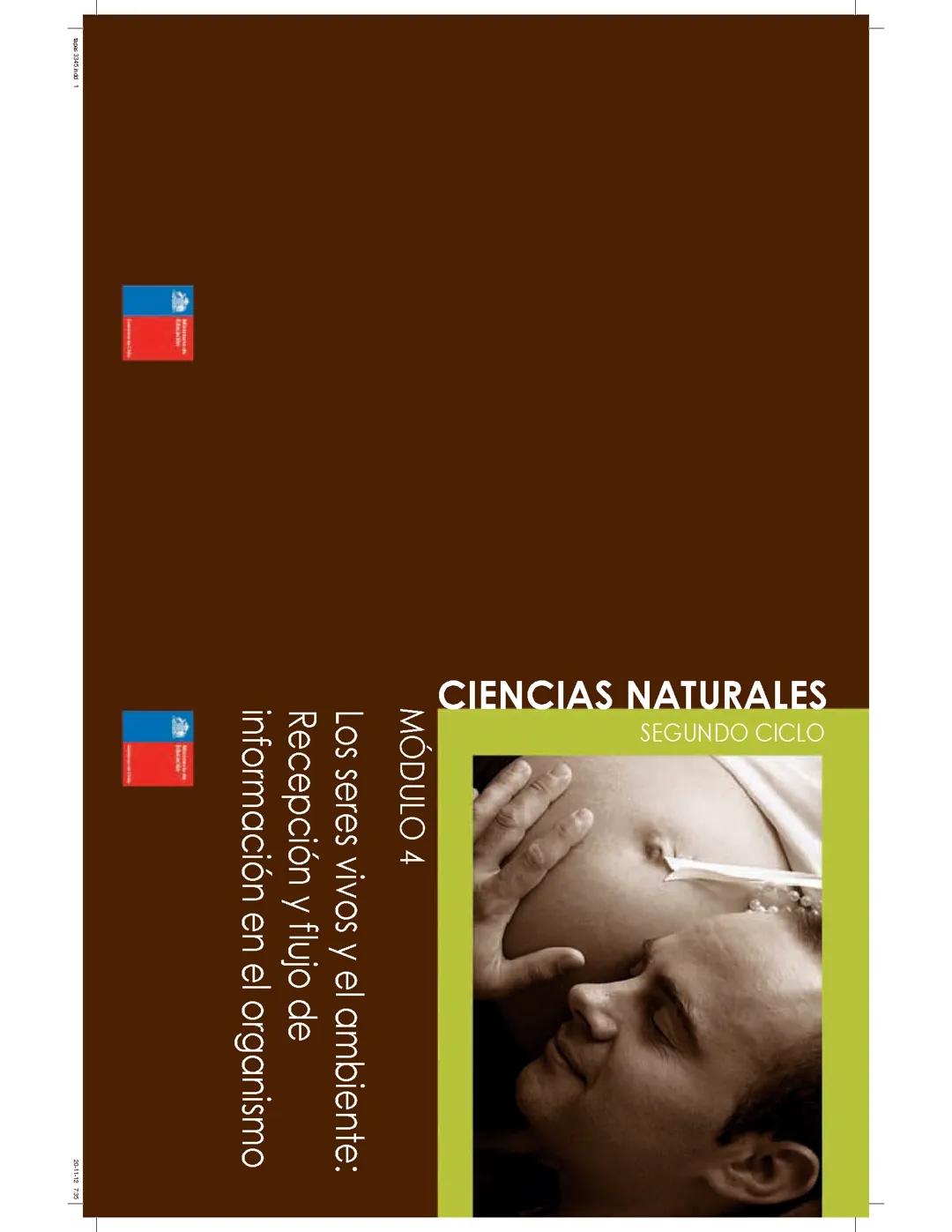 Exploración del Sistema Nervioso - Módulo 4